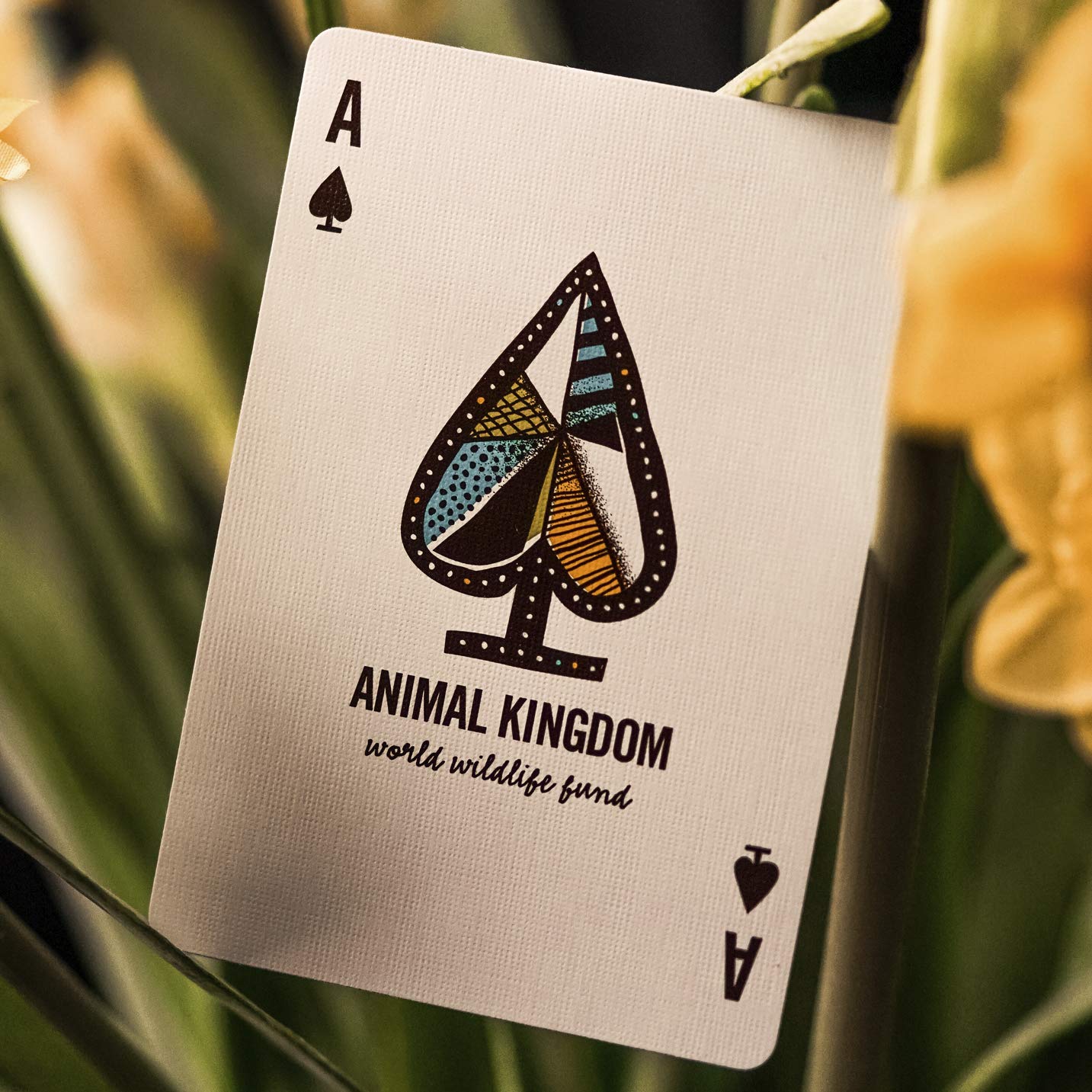 Animal Kingdom Playing Cards By Theory11