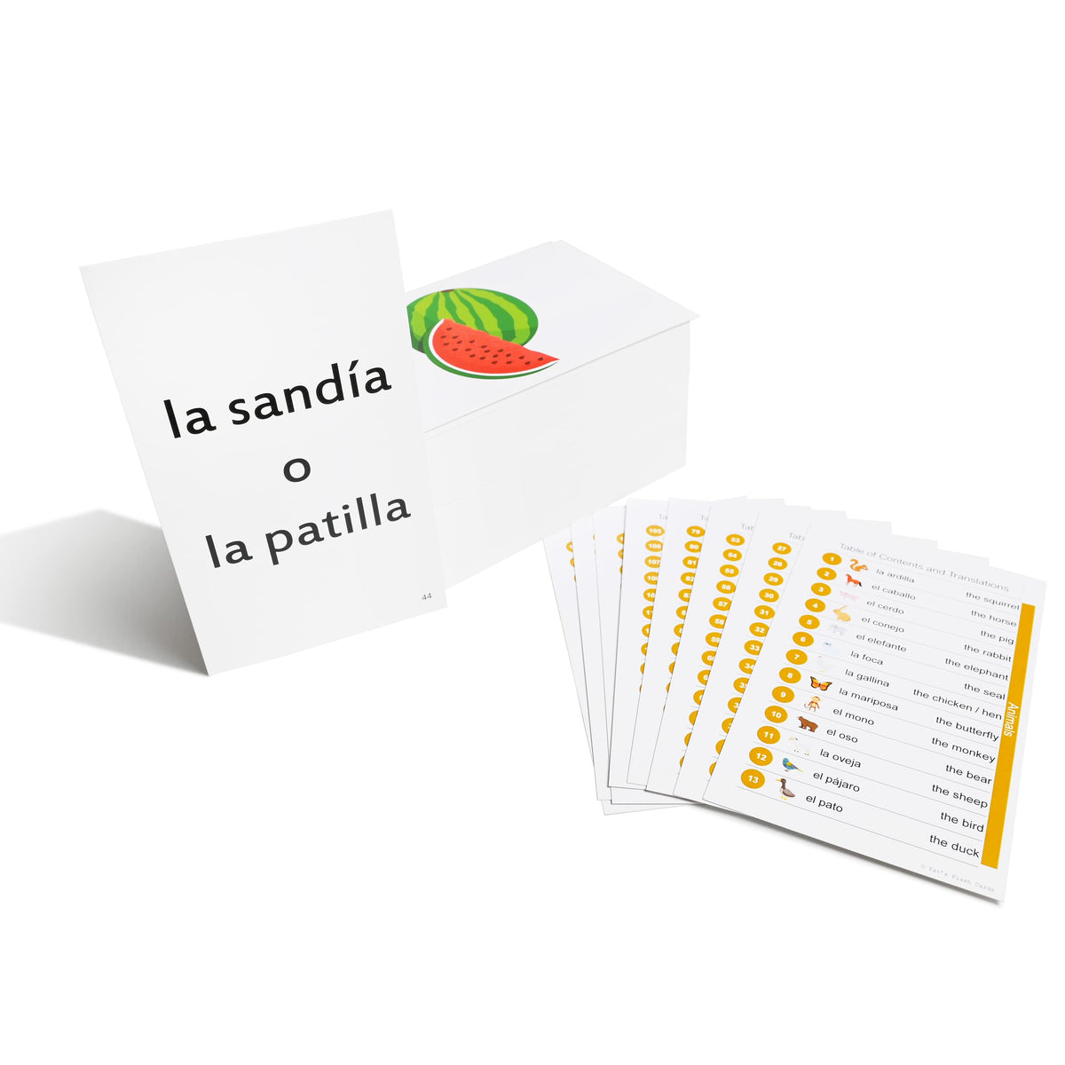 192 Spanish Beginning Vocabulary Flash Cards With Original Artwork