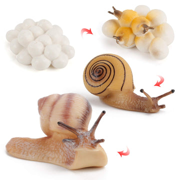 4 Pcs Gary Farm Animal Life Cycle Model Figure Snail Figurine Party Favors Supplies Cake Toppers Desktop Decoration Collection Educational Toys For Boys Girls Kid Toddlers