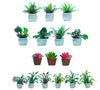 Birostiana Miniature Dollhouse Accessories 14 Pieces Miniatures Plants Flowers Bonsai Greenery Ornament For Dollhouse Fairy Gard