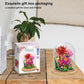 QARULUS Flower Bouquet Building Kit Flowers Botanical Collection DIY Plants Bonsai Tree Friends Sets mature-themed Building Blocks Set Christmas New Year Birthday Gift for Girls Mom Women Girlfriend(Roses)
