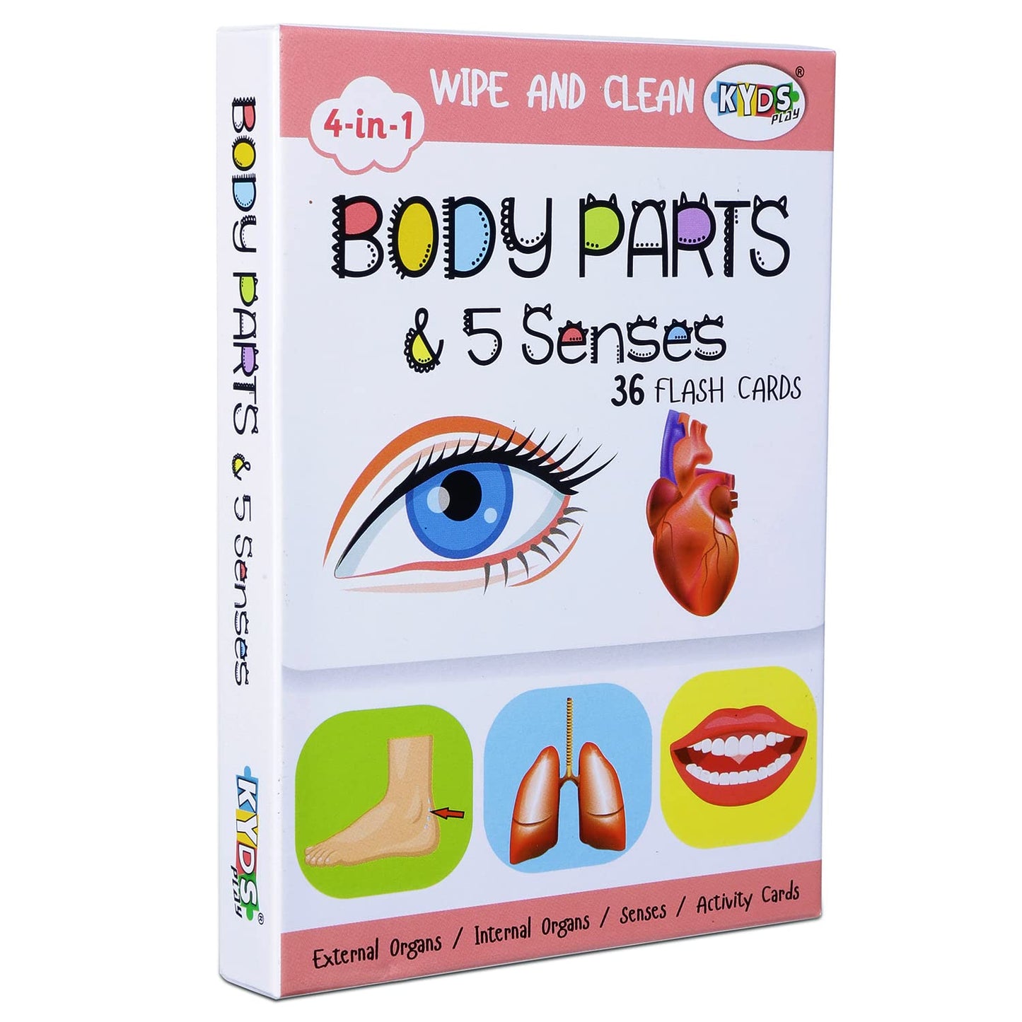 Kyds Play  Thick Wipe And Clean Activity Based Body Parts & 5 Senses Flash Cards  Age 24 Yrs, 36 Double Sided Interactive Car