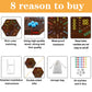 Wahoo Board Game Wooden Original Aggravation Board Game Classic 2 Side Painted Fast Track Game For 4 Player And 6 Player With 30