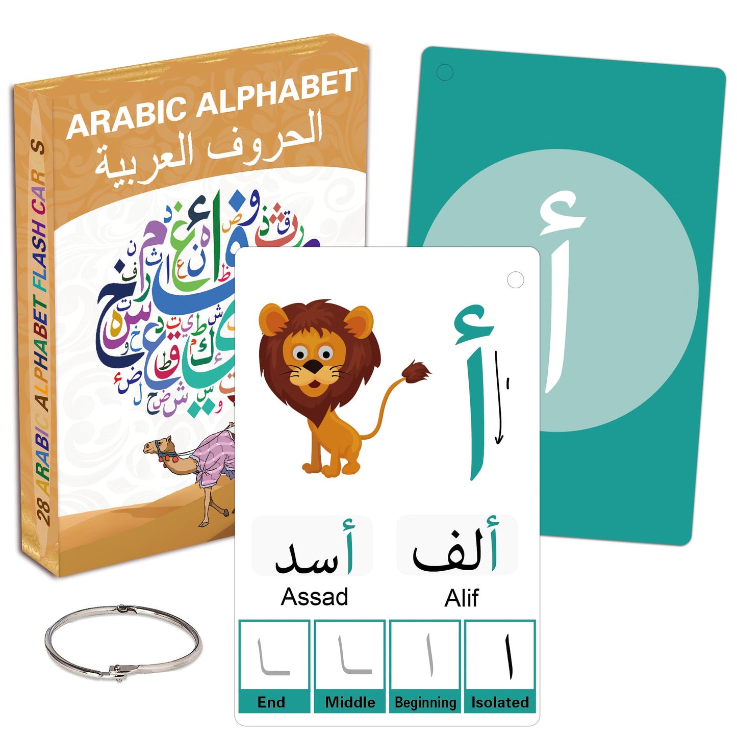 Yiydong Arabic Flash Cards For Beginners, Learn Arabic Alphabet For Kids, Teens And Adults, Educational Language Learning Resour