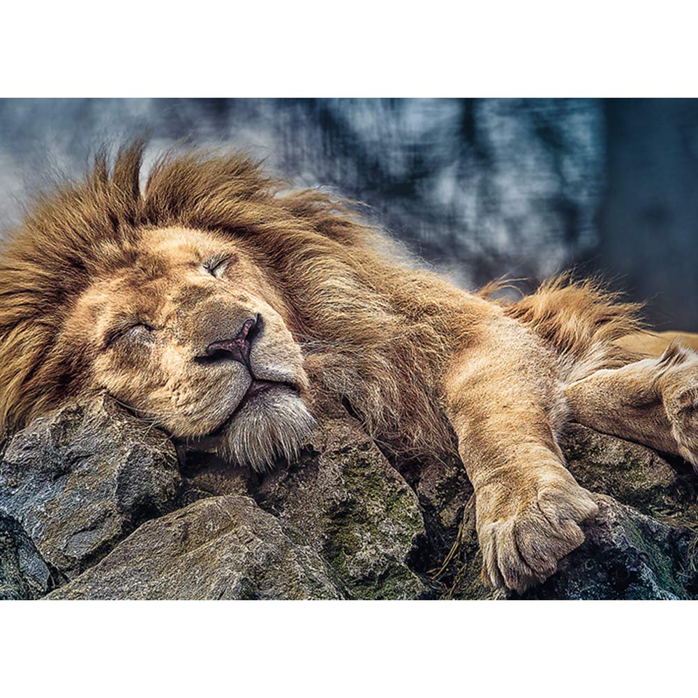 Trefl Sleeping Lion 1000 Piece Jigsaw Puzzle Red 27'X19' Print, Diy Puzzle, Creative Fun, Classic Jigsaw For Adults And Children From 12 Years Old