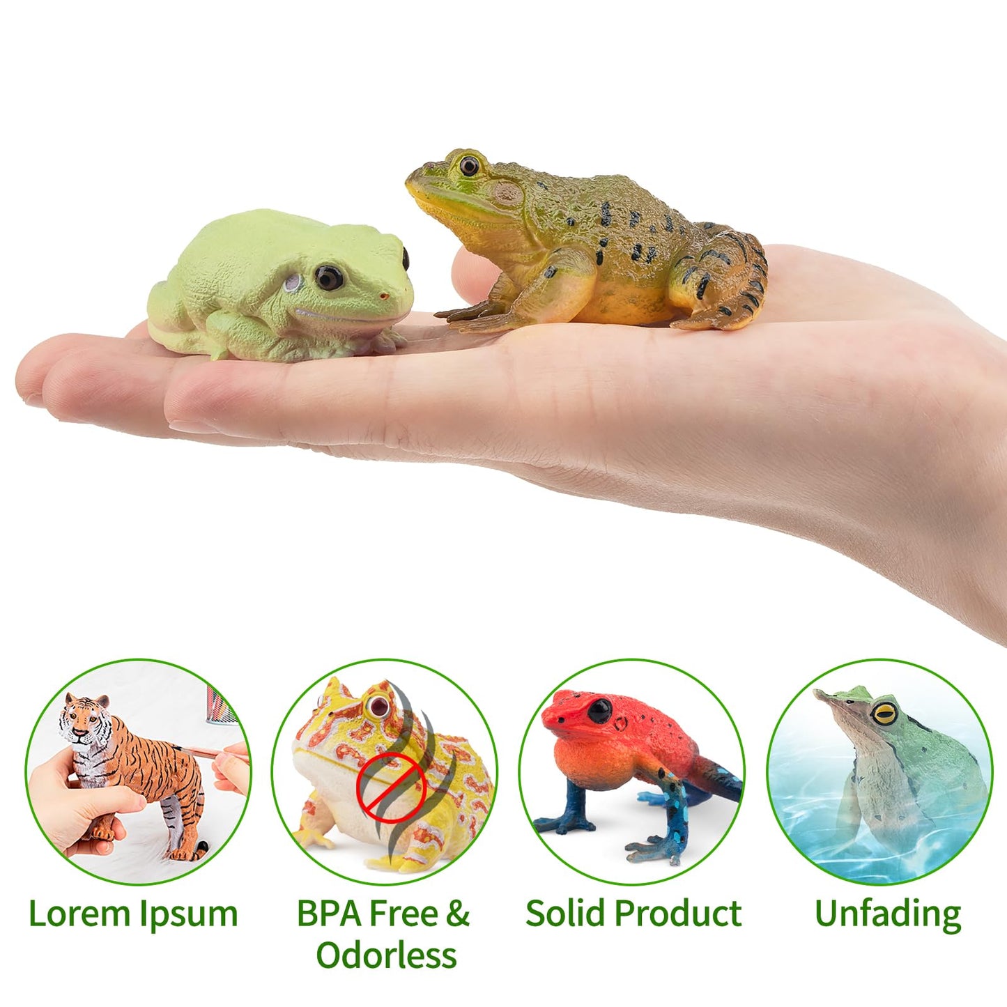 Toymany Frog Toy Figures Set - 10pcs Realistic Plastic Rainforest Animals - Model QINGWA01-10P001 - Perfect for Cake Toppers and Decor