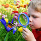Safe STEM Bug Catching Kit