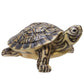 Pacific Giftware Realistic Yellow Belly Turtle Resin Figurine