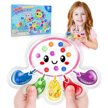 Color Sorting Sensory Toys, Toddler Travel Fine Motor Activities, Preschool Learning Calm Down Toys For Kids With Autism, Color