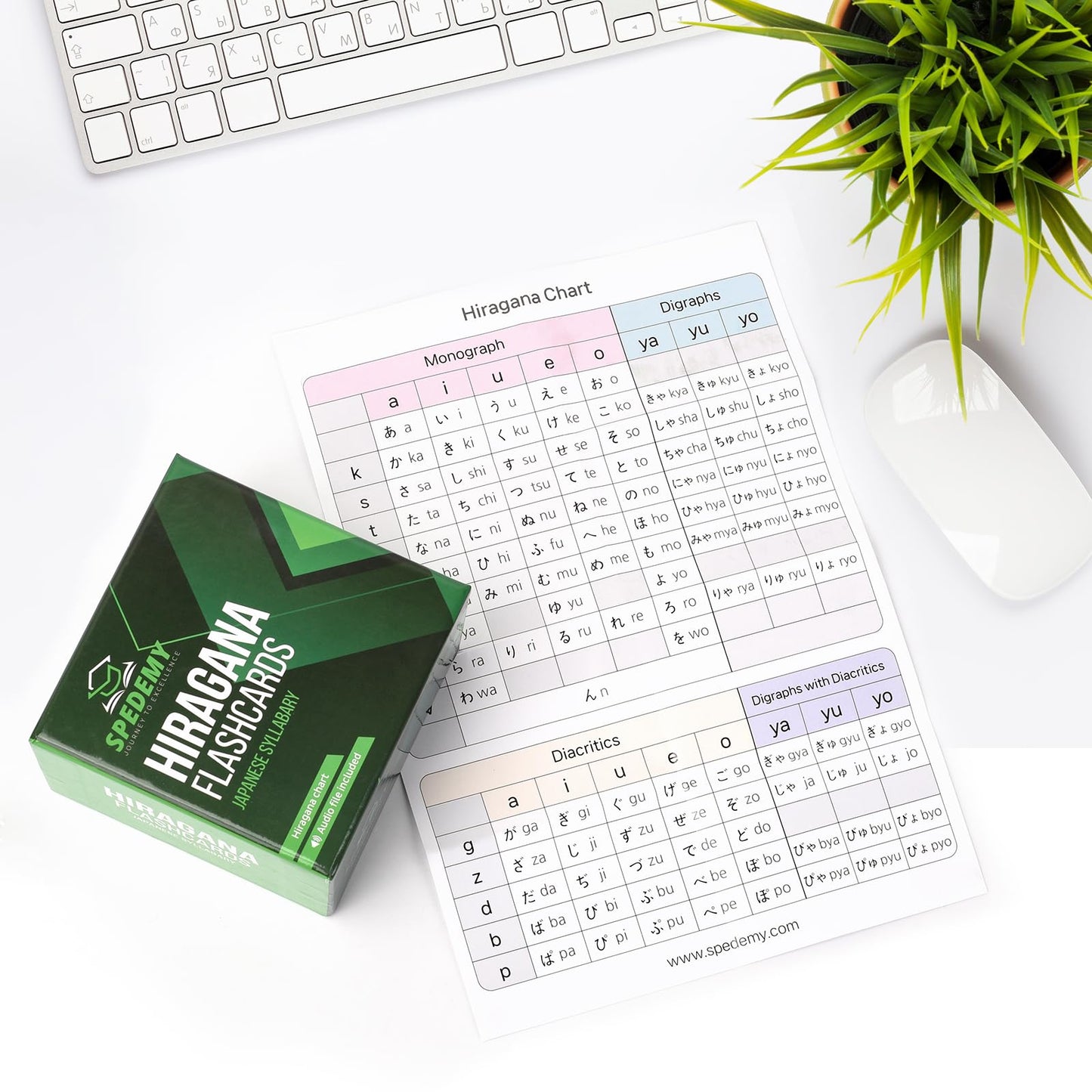 Spedemy 266 Hiragana Flash Cards - Learn Japanese For Adult Beginners - Colorful Photo Cards With Hiragana Words,Meaning,Pronunciation With Chart -Alphabet Flash Cards For Japanese Language Learning