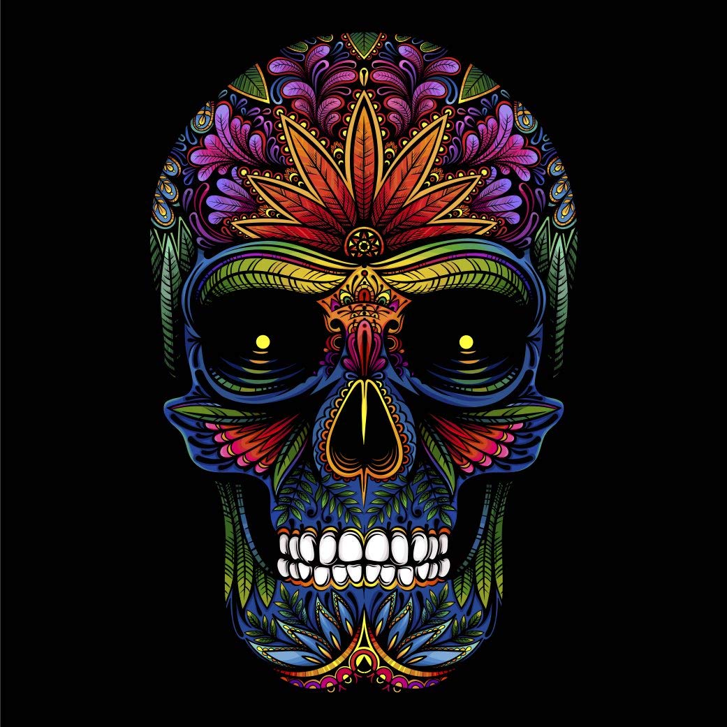 Crystal Art Diamond Painting Notebook - Skull Notebook Kit - Create a Sparkling Notebook Cover using Crystals - For ages 8 and u