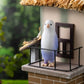 Maidimiao Love Bird Series3 Mini Bird Blind Box Figures 1Pc Cute Collectible Toys Kawaii Birthday Gifts
