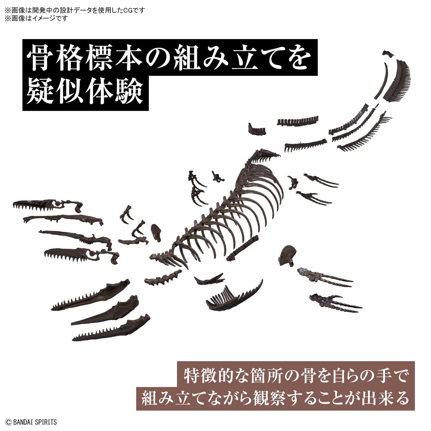 Bandai Imaginary Skeleton - Mosasaurus - Model Kit