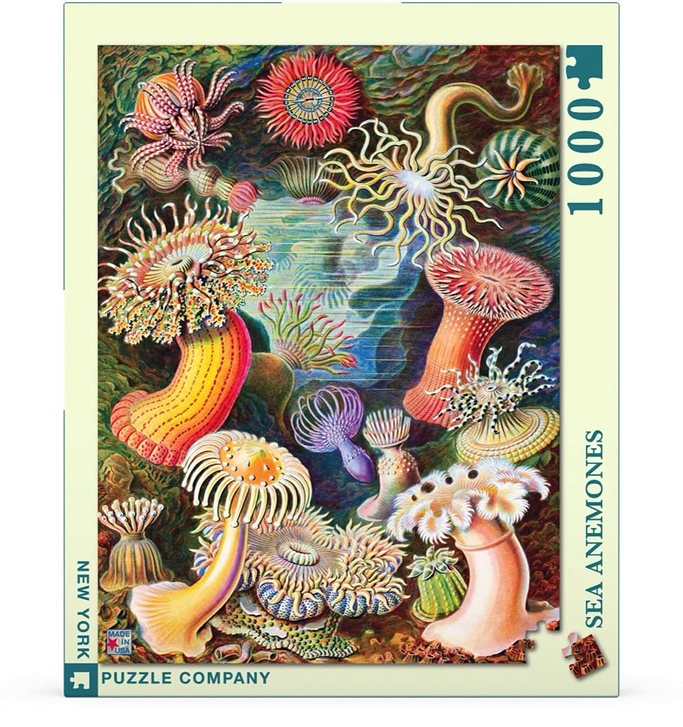 New York Puzzle Company 1000 Piece Jigsaw Puzzle - Vintage Images Sea Anemones by Ernst Haeckel - Cardboard
