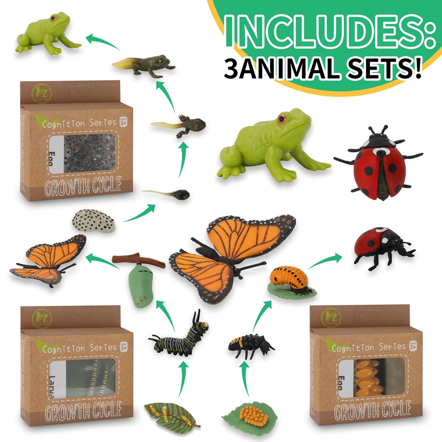 Montessori Life Cycle Learning & Education Toys - Plastic Insect Ladybug, Monarch Butterfly, And Tadpole-To-Frog Kit For Kids, P