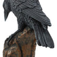 Ebros Gift Gothic Macabre Edgar Poe Perching Raven On Rock Figurine 5' Tall Gothic Crow Scavenger Bird Decor Sculpture