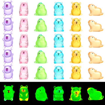 GGSTDDUP 30pcs Luminous Mini Capybara Figurines  Tiny Resin Capybara  Glow in The Dark Colorful Tiny Capybara for Dollhouse Fairy Garden Capybara Birthday Decorations (6 Styles)