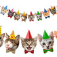 Zyozique Cat Birthday Paper Banner, 1 Set Cat Face Party Paper Banner, Kitty Cat Theme Party Paper Bunting Decoration for Cat Pa