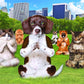 Eurographics 8300-5455 Yoga Park 300Piece Puzzle