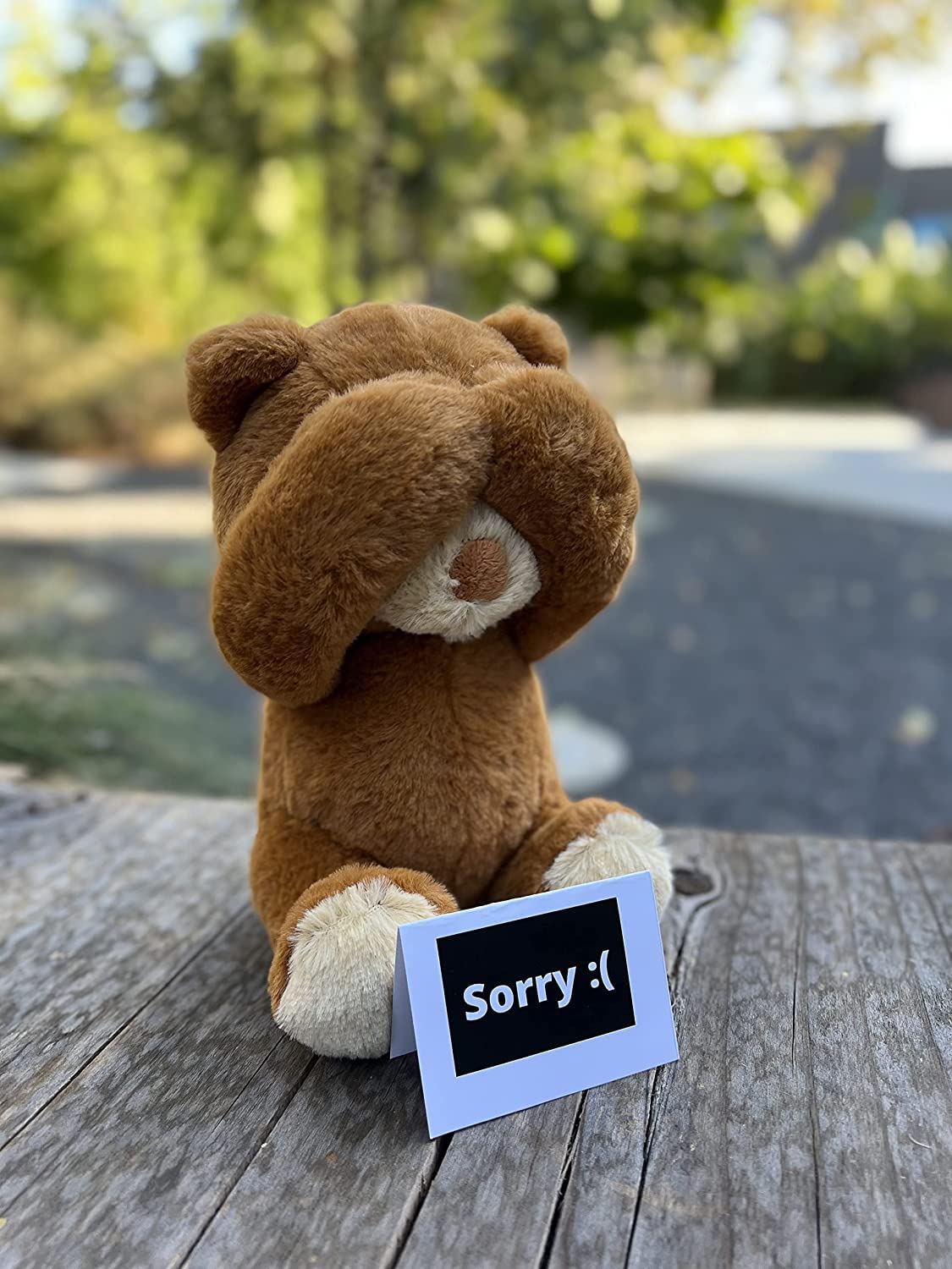 Cutest Im Sorry Gift for Her & Him - The Im Sorry Teddies - Embarrassed Adorable Super Soft Stuffed Animal Plush Toy - Unique