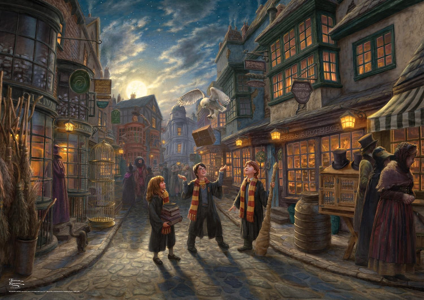 Buffalo Games - Silver Select - Harry Potter - Diagon Alley - 500 Piece Jigsaw Puzzle for mature-themeds -Challenging Puzzle Perfect for Game Nights - Finished Size is 21.25 x 15.00