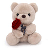 Lsydcarm Teddy Bear Stuffed Animals With Rose, 9Inch Valentines Day Teddy Bear, Valentines Day Gift For Girlfriend Boyfriend Kid