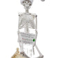Hbarsci Dead Elf In The Lab - 17' Miniature Skeleton, Santa Hat & Christmas Coal For Scientist, Lab Tech, Lab Manager Teacher
