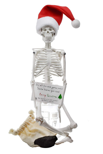 Hbarsci Dead Elf In The Lab - 17' Miniature Skeleton, Santa Hat & Christmas Coal For Scientist, Lab Tech, Lab Manager Teacher