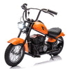 JoyWheels Kids Electric Motorcycle, 24V Electric Dirt Bike for Kids, 250W Motor 14MPH Fast Speed Retro Motocross, Electric Dirt