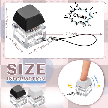 Taiyin 2 Pcs Keyboard Fidget Keychain Decompression Toys Finger Stress Relief Finger Keyboard Keychain Fidget Button for mature-themed Gifts to Pass The Boring Time(Classic Style)