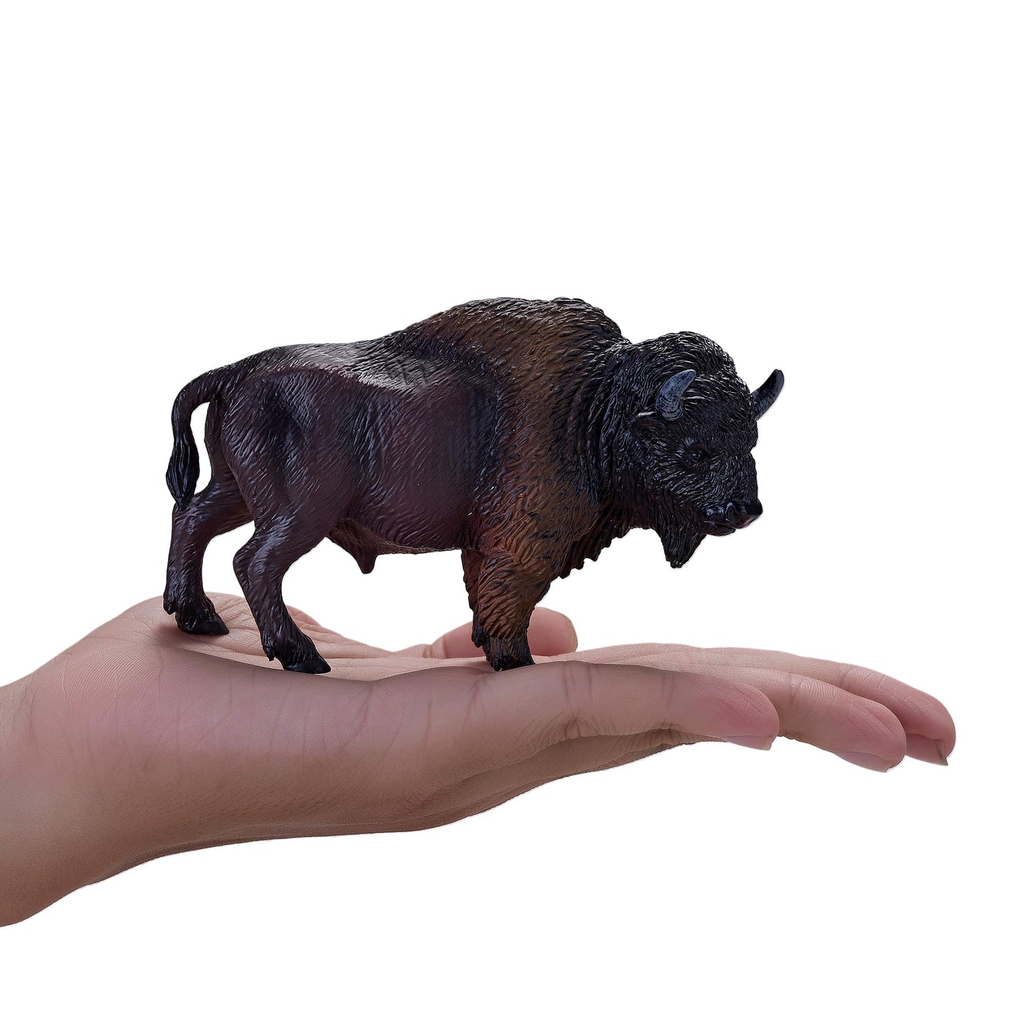 Mojo American Bison/Buffalo