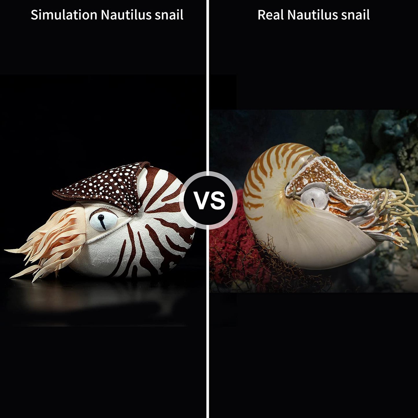 ZHONGXIN MADE Nautilus Plush Toy - 8 Inch Soft Sea Life Stuffed Animal, Brown, Lifelike Design, Perfect Gift for Kids