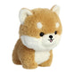 Aurora® Playful Teddy Pets™ Shiba Inu Stuffed Animal - Unique Design - Endless Play - Brown 6.5 Inches