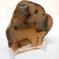 Rock Tumbler Gem Refill Kit Yellowstone Montana Black Dendrite Agate Rough 8 oz