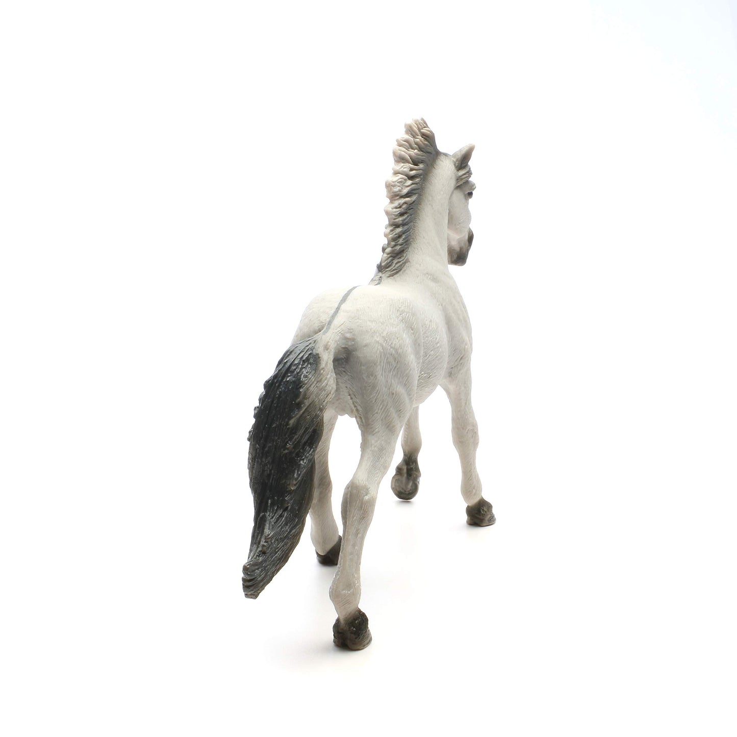 13915 - Sorraia Mustang Stallion