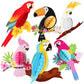 KatchOn, Large Tropical Bird Decorations - 12x5.3 Inch | Jungle Theme Decorations, Luau Party Decorations, Hawaiian Party Decora