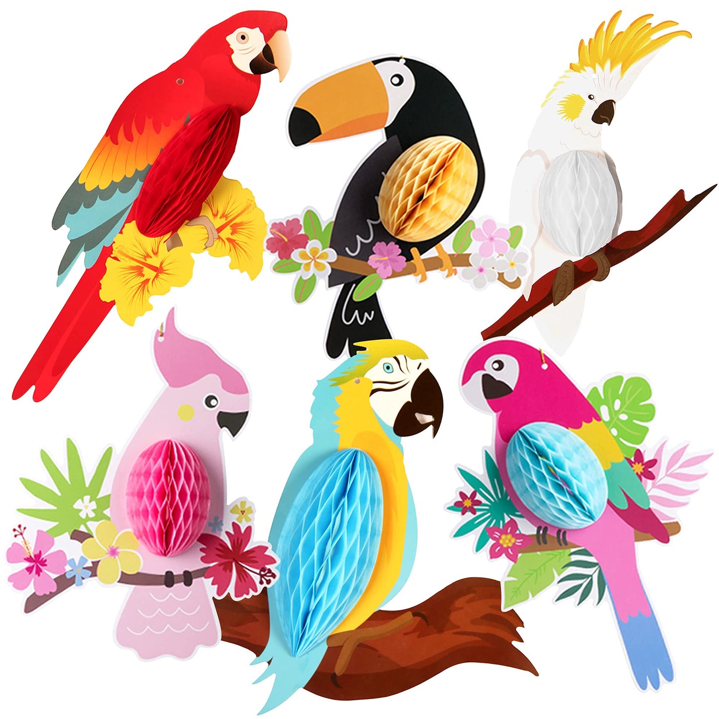 KatchOn, Large Tropical Bird Decorations - 12x5.3 Inch | Jungle Theme Decorations, Luau Party Decorations, Hawaiian Party Decora