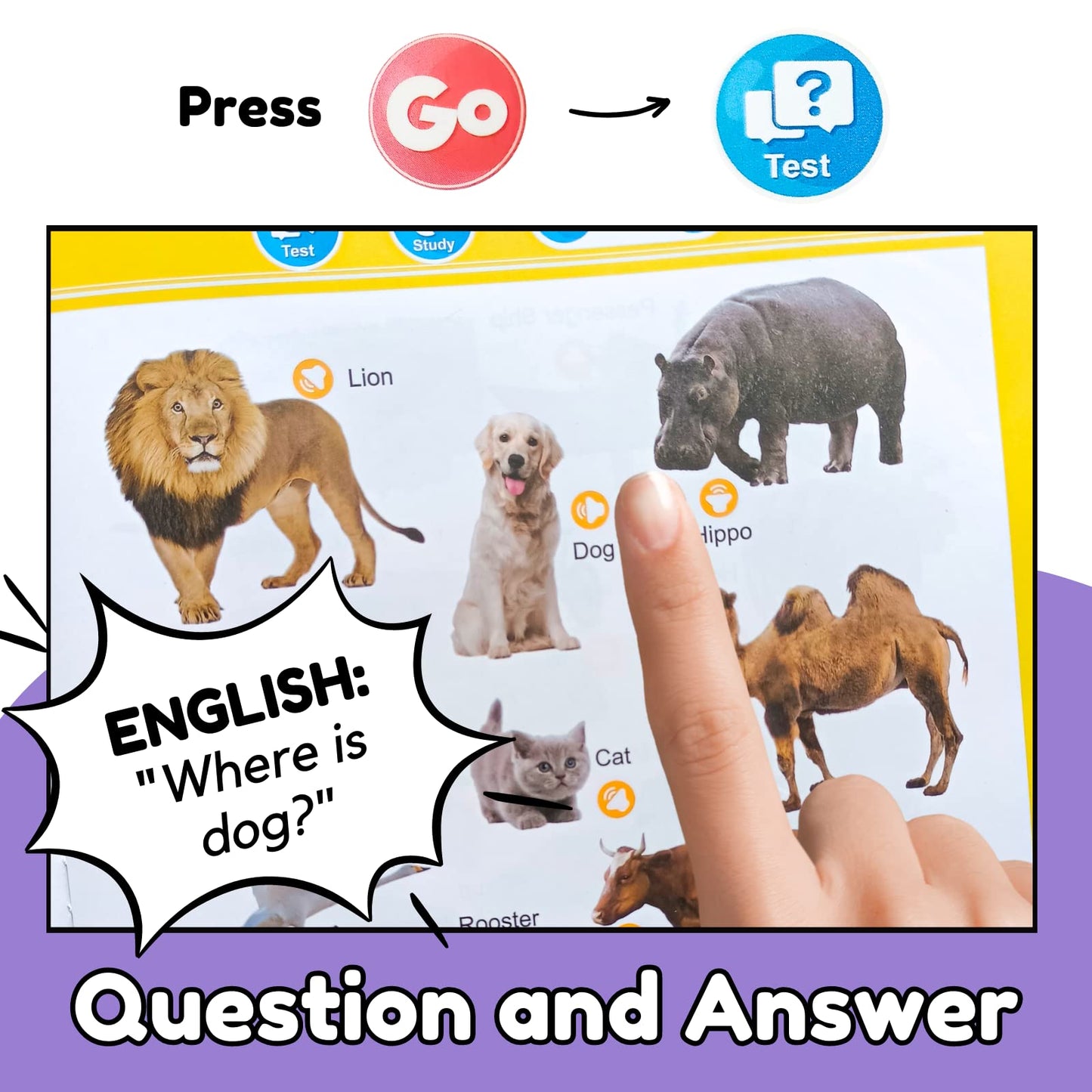 Zeenkind English Learning Talking Book For Kids 2 3 4 5 6 Years Old, 300+ Words Interactive Audio Sound Books For Toddlers, Early Learning Educational Electronic Musical Toy