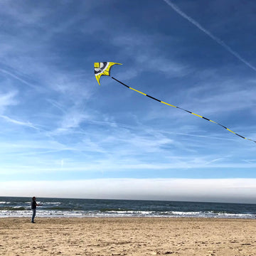 Kaiciuss Huge Delta Kite For Adults Easy To Fly, 8.2 Ft Giant Single Line Kite, Extra Large Beach Kite With 30M Kite Tail And 300Ft Kite Handle (Yellow)