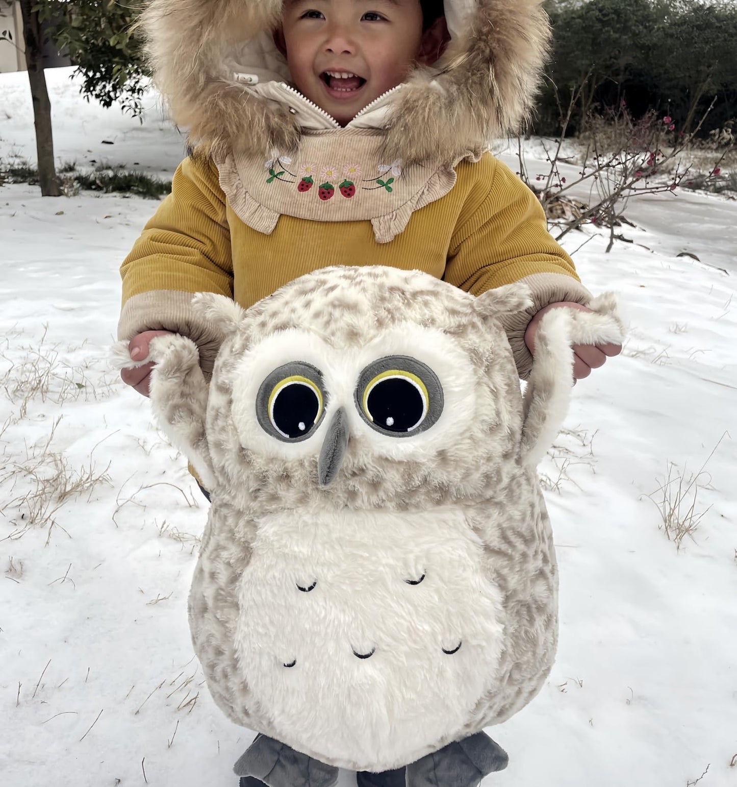 Ryttir 15.7 Inch Chubby Snow Big Owl Stuffed Animals Plush, Adventure Stuffed Owl Toy, Brave Boy'S And Girl'S Room Owls Plush Decor, Funny Owl Gifts For Kids And Women Christmas