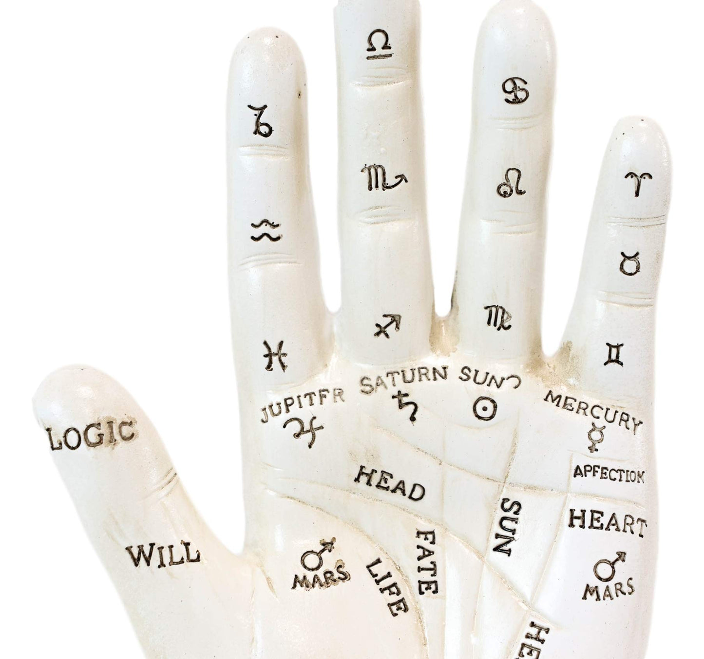 Ebros Gift Ancient Mystical Psychic Fortune Teller Chirology Palmistry Hand Palm With Lines And Symbols Figurine Decor Witchcraft Spiritual Divinity Statue For Palmists Readers (Black And White Set)