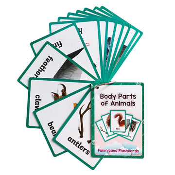 Lilias Body Parts Of Animals Flash Cards, Toddler Learning Toys, Preschool Learning Toys, Homeschool Supplies, Learning Supplies