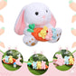 Chalyna Bunny Stuffed Animals With 3 Bunnies In A Carrot Rabbit Decor 10 Inches Easter Rabbit Plush Soft Cute Bunny Plush Toys D