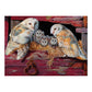 Cobble Hill Barn Owls 1000 Piece Jigsaw Puzzle