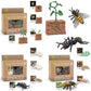 Montessori Life Cycle Animal Figurines Learning & Education Toys, Plastic Insect Life Cycle Toys For Kids, Preschool Learning Activities For Toddlers (Plant Bee Ant)