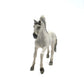 13915 - Sorraia Mustang Stallion