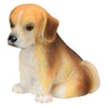 Beagle Puppy/Dog Collectible Figurine