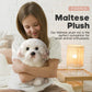 FAONIE 14 Inch Maltese Stuffed Animal - Realistic White Plush Dog Toy, Fluffy Companion Pet