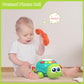 Baby Toys 6 To 12 Months,Musical Turtle Crawling Baby Girl Toys For 12-18 Months,Infant Early Learning Educational Toy,Baby Girl