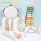 Wooden Montessori Musical Instruments Set for Toddlers 1-3, Preschool Educational Music Toys for Boys Girls, Percussion Instrume